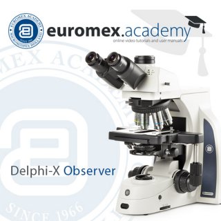 Follow-up der Euromex Academy
