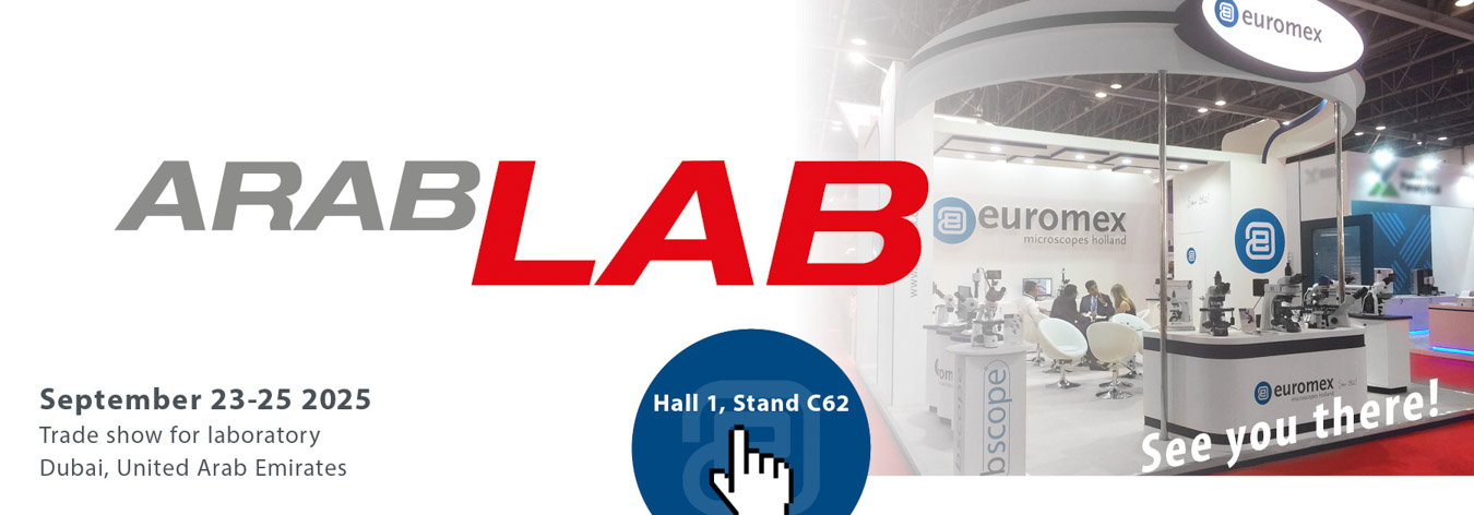 ArabLAB_2025_EN