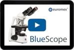 BlueScope_promo_video