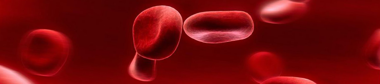 Hematology | University Labs | APPLICATIONS