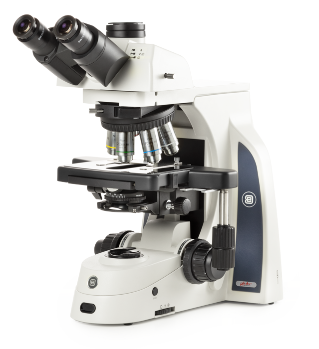 Microscope binoculaire inversé Oxion Euromex
