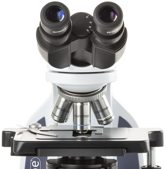 Microscopio