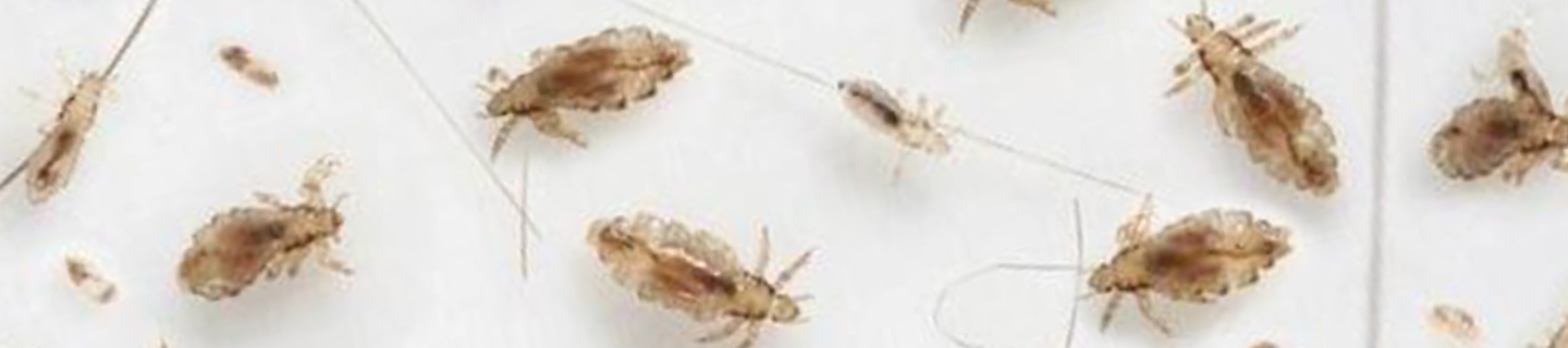 Parasitología