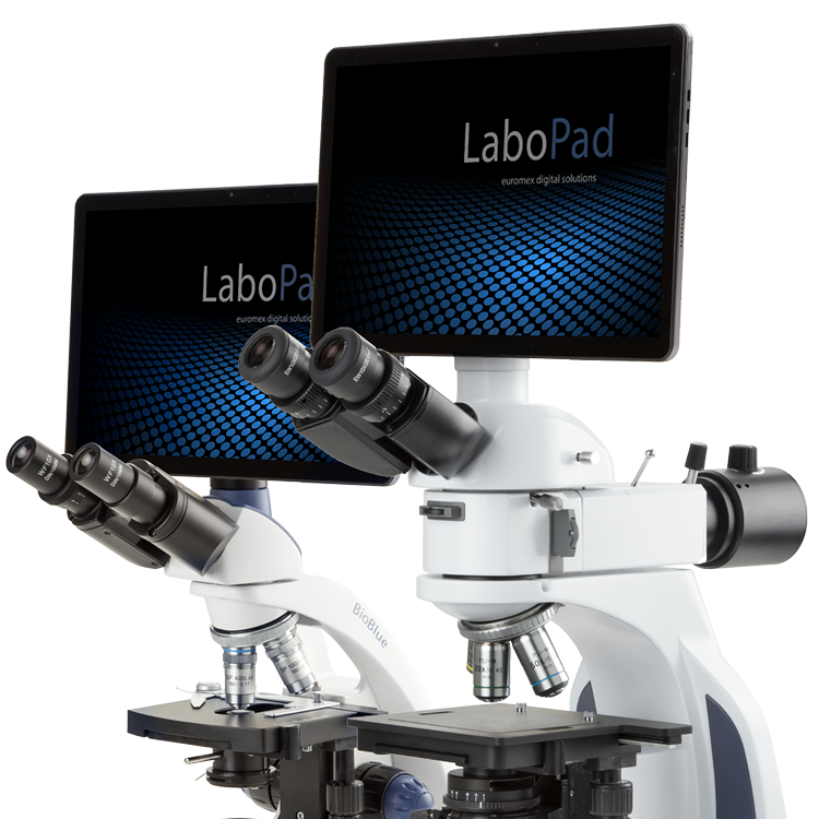 LaboPad - Euromex