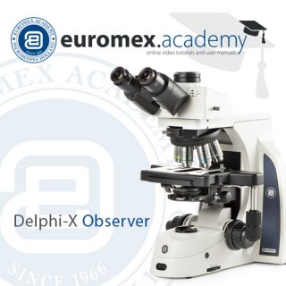 Suivi de l'Euromex Academy
